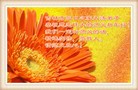 ֹ,д󷨵ӹףʦ(22)
