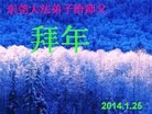 法轮功,广东大法弟子恭祝师尊新年快乐(24条)
