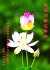 ֹ,ϴ󷨵ӹףʦ(23)
