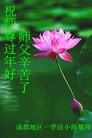 ֹ,ɶ󷨵ӹףʦ(24)
