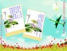 ֹ,󷨵ӹףʦ(29)
