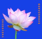 Published on 1/30/2014 ���ֹ�,��½�󷨵��ӹ�ףʦ���������(30��)
