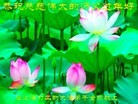 ֹ,Ϻ󷨵ӹףʦ(26)
