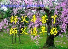 ֹ,д󷨵ӹףʦ(25)
