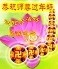 法轮功,成都大法弟子恭祝师尊新年快乐(28条)
