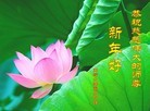 ֹ,󷨵ӹףʦ(22)
