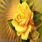 Published on 1/30/2014 ���ֹ�,��½�󷨵��ӹ�ףʦ���������(42��)
