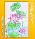 ֹ,󷨵ӹףʦ(24)
