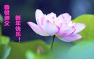 法轮功,唐山大法弟子恭祝师尊新年快乐(25条)
