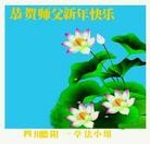 Published on 1/30/2014 ���ֹ�,��½�󷨵��ӹ�ףʦ���������(26��)
