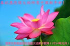 Published on 1/1/2016 ���ֹ�,��½�󷨵��ӹ�ףʦ���������(28��)
