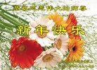 Published on 1/1/2016 ���ֹ�,��½�󷨵��ӹ�ףʦ���������(28��)
