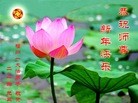 ֹ,󷨵ӹףʦ(28)
