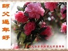 法轮功,云南大法弟子恭祝师尊新年好(27条)
