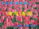 ֹ,½󷨵ӹףʦ(25)

