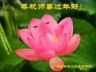 ֹ,󷨵ӹףʦ(26)
