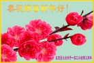 ֹ,½󷨵ӹףʦ(25)
