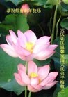 ֹ,󷨵ӹףʦ(22)
