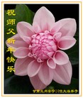 ֹ,󷨵ӹףʦ(24)
