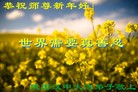 ֹ,󷨵ӹףʦ(23)
