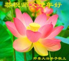 法轮功,青岛大法弟子恭祝师尊新年快乐(31条)
