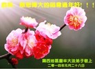 ֹ,󷨵ӹףʦ(25)
