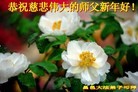 ֹ,Ϋ󷨵ӹףʦ(32)
