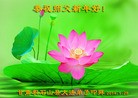 ֹ,󷨵ӹףʦ(24)
