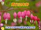 ֹ,󷨵ӹףʦ(24)
