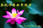 ֹ,ϴ󷨵ӹףʦ(28)
