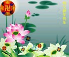 ֹ,人󷨵ӹףʦ(27)
