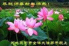 ֹ,ȷ󷨵ӹףʦ(30)
