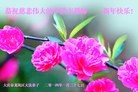 ֹ,󷨵ӹףʦ(27)
