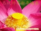 ֹ,ɹŴ󷨵ӹףʦ(29)
