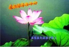 ֹ,ʯׯ󷨵ӹףʦ(30)
