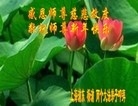 ֹ,Ϻ󷨵ӹףʦ(30)
