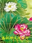 法轮功,重庆大法弟子恭祝师尊新年好(27条)
