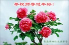 ֹ,ൺ󷨵ӹףʦ(31)
