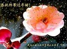 ֹ,󷨵ӹףʦ(27)
