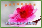 ֹ,󷨵ӹףʦ(29)
