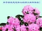 ֹ,ϴ󷨵ӹףʦ(23)
