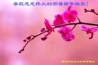 法轮功,湖南大法弟子恭祝师尊新年快乐(23条)
