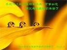 ֹ,󷨵ӹףʦ(29)
