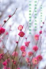 ֹ,󷨵ӹףʦ(28)
