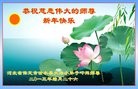 ֹ,󷨵ӹףʦ(28)

