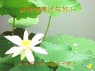 ֹ,ݴ󷨵ӹףʦ(31)
