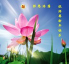 Published on 1/30/2014 ���ֹ�,��½�󷨵��ӹ�ףʦ���������(42��)
