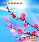 ֹ,մ󷨵ӹףʦ(31)
