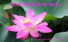 ֹ,人󷨵ӹףʦ(31)
