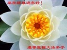 ֹ,̽󷨵ӹףʦ(24)
